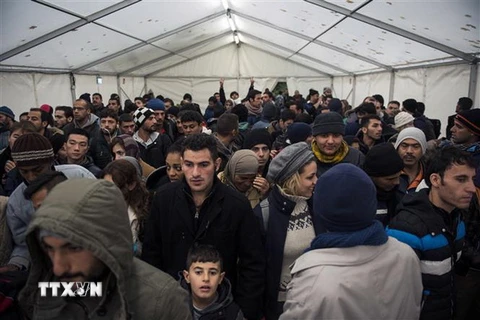 Người di cư chờ làm thủ tục đăng ký cư trú tại Berlin, Đức. (Nguồn: AFP/TTXVN)