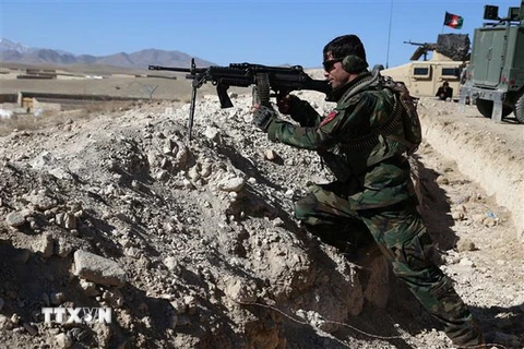 Lực lượng an ninh Afghanistan tham gia chiến dịch truy quét phiến quân tại tỉnh Ghazni. (Nguồn: THX/TTXVN)