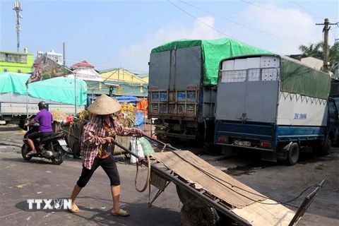 Một nữ lao động bốc xếp tại chợ Long Biên. (Ảnh: Nguyễn Văn Cảnh/TTXVN)