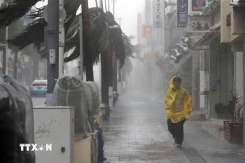 Bão Trami mang theo mưa to gió lớn đổ bộ Naha, thủ phủ tỉnh Okinawa, Nhật Bản. (Nguồn: Kyodo/TTXVN)