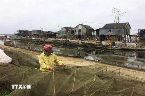 Cư dân chài lưới trên vùng đầm phá Tam Giang. (Ảnh: Hồ Cầu/TTXVN)