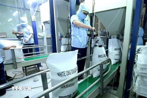 Đóng bao sản phẩm gạo xuất khẩu tại công ty Lương thực Sông Hậu (Sông Hậu Food), thành phố Cần Thơ. (Ảnh: Vũ Sinh/TTXVN)