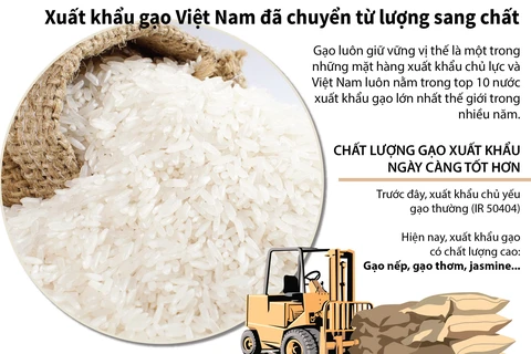 [Infographics] Xuất khẩu gạo Việt Nam đã chuyển từ lượng sang chất