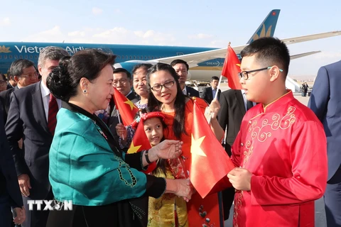 Cán bộ, nhân viên Đại sứ quán và đại diện cộng đồng người Việt tại Thổ Nhĩ Kỳ đón Chủ tịch Quốc hội Nguyễn hị Kim Ngân tại sân bay Quốc tế Esenboga, thủ đô Ankara. (Ảnh: Trọng Đức/TTXV