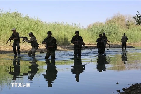 Lực lượng ủng hộ Chính phủ Syria tại khu vực Hawija Qate ở sông Euphrates, thành phố Deir Ezzor, miền đông Syria. (Nguồn: AFP/TTXVN)