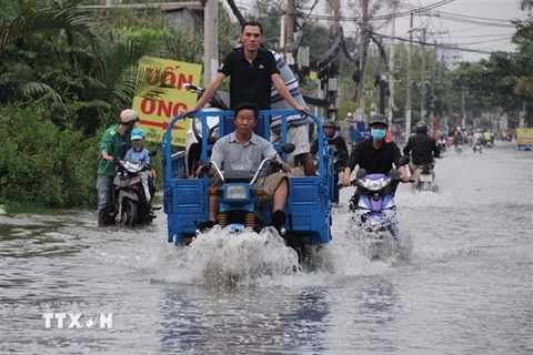 Tình trạng ngập nước do triều cường dâng cao tại đường Lê Văn Lương, huyện Nhà Bè. (Ảnh: Xuân Dự/TTXVN)
