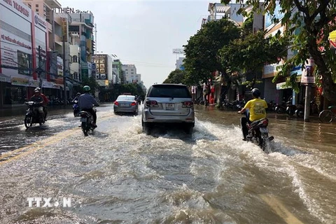 Tuyến đường Lý Tự Trọng, quận Ninh Kiều ngập sâu trong biển nước. (Ảnh: Thanh Sang/TTXVN)