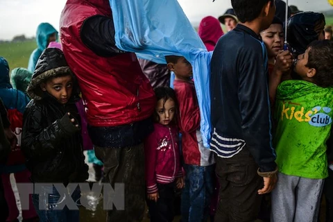 Người di cư xếp hàng nhận lương thực tại trại tị nạn ở phía Bắc làng Idomeni, Hy Lạp. (Nguồn: AFP/TTXVN)