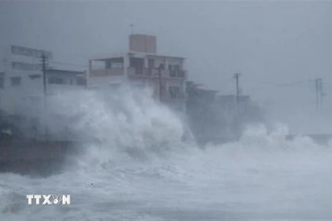 Sóng lớn ngoài khơi bờ biển Yonabaru khi bão Trami đổ bộ tỉnh Okinawa, Nhật Bản ngày 29/9. (Nguồn: Kyodo/TTXVN)