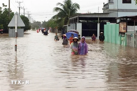 Tuyến đường liên xã Phước Nam và Phước Dinh, huyện Thuận Nam bị nước tràn chảy qua đường cao hơn nửa mét. (Ảnh: Công Thử/TTXVN)