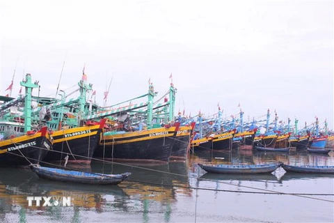 Tàu, thuyền neo đậu tại cảng cá Phan thiết. (Ảnh: Hồng Hiếu/TTXVN)