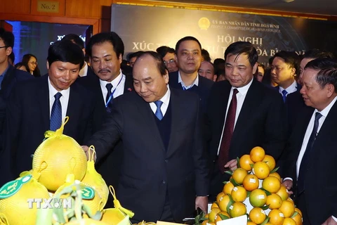 Thủ tướng Nguyễn Xuân Phúc thăm các gian trưng bày sản phẩm của tỉnh Hòa Bình tại hội nghị. (Ảnh: Thống Nhất/TTXVN)