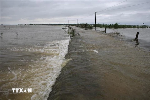 Nước lũ dâng cao gây ách tắc giao thông, cô lập lập nhiều địa phương ở huyện Quảng Điền, Thừa Thiên-Huế. (Ảnh: Hồ Cầu/TTXVN)