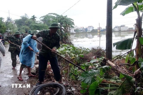 Cán bộ, chiến sỹ Bộ đội Biên phòng tỉnh Quảng Nam giúp đỡ người dân xã Tam An, huyện Phú Ninh, dọn dẹp vệ sinh môi trường sau mưa lụt. (Ảnh: Đỗ Trưởng/TTXVN)
