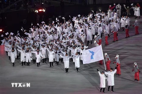 Đoàn vận động viên Hàn Quốc và Triều Tiên cùng diễu hành chung dưới lá cờ thống nhất Triều Tiên tại lễ khai mạc Olympic PyeongChang 2018. (Nguồn: AFP/TTXVN)