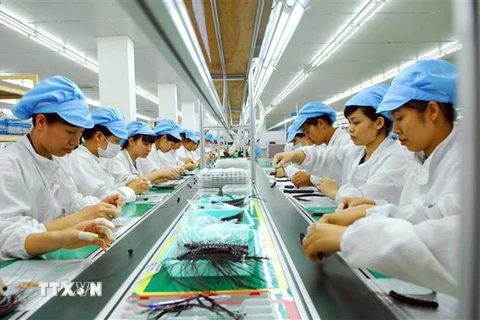 Dây chuyền sản xuất thiết bị điện tử tại Công ty TNHH Bluecom Vina, 100% vốn đầu tư của Hàn Quốc, tại khu công nghiệp Tràng Duệ (Hải Phòng). (Ảnh: Danh Lam/TTXVN)