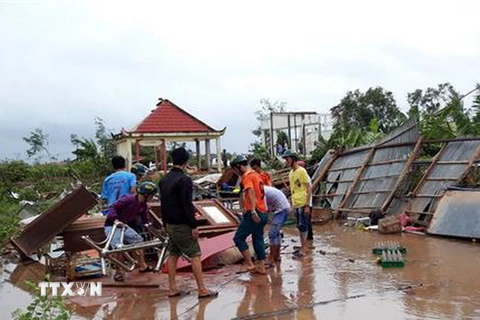 Ngành chức năng tỉnh Bạc Liêu giúp dân khắc phục hậu quả do bão số 1 gây ra. (Ảnh: Huỳnh Sử/TTXVN)