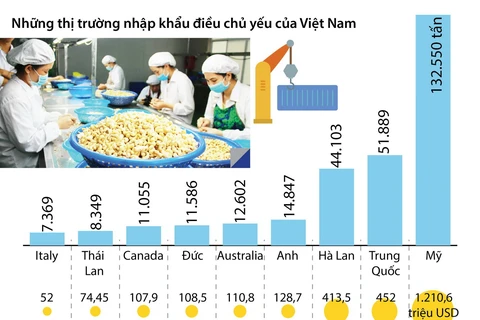 Xuất khẩu điều của Việt Nam tiếp tục đứng số 1 thế giới
