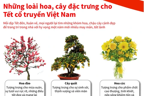 Những loài hoa, cây đặc trưng cho Tết cổ truyền Việt Nam
