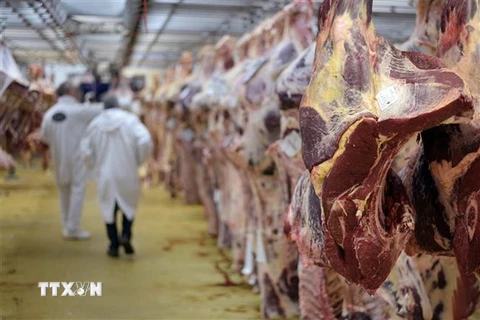 Thịt bò tại chợ thực phẩm quốc tế Rungis, Pháp. (Nguồn: AFP/TTXVN)