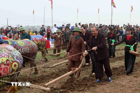 Phó Thủ tướng Thường trực Trương Hòa Bình thực hiện nghi thức xuống đồng, cày ruộng đầu năm trong lễ hội. (Ảnh: Thanh Tùng/TTXVN)