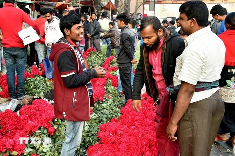 Người dân chọn mua hoa hồng cho ngày Lễ Tình yêu 14/2 tại Dhaka, Bangladesh. (Nguồn: THX/TTXVN)