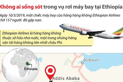 [Infographics] Không ai sống sót trong vụ rơi máy bay tại Ethiopia