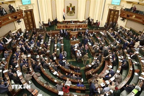 Toàn cảnh phiên họp Quốc hội Ai Cập ở thủ đô Cairo. (Nguồn: AFP/TTXVN)