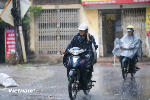 Chiều tối khu vực Bắc Bộ và Thanh Hóa có mưa dông diện rộng. Ảnh minh họa. (Ảnh: Minh Sơn/Vietnam+)