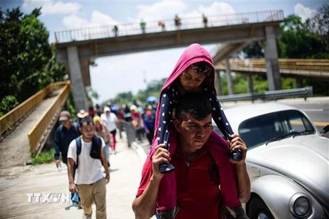 Người di cư Trung Mỹ tại khu vực giữa Metapa và Tapachula, trong hành trình tới Mỹ. (Nguồn: AFP/TTXVN)