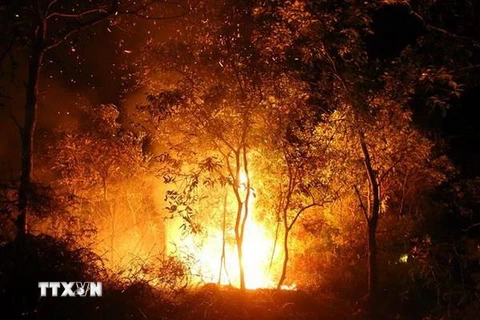 Hiện trường đám cháy tại xã Noong Luống (ảnh chụp lúc 23 giờ ngày 14/5). (Ảnh: Phan Tuấn Anh/TTXVN)
