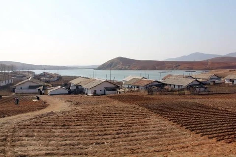 Một trang trại gần sông Teadong, Triều Tiên. (Nguồn: AFP)