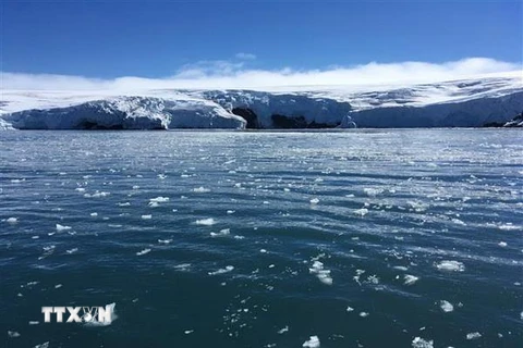 Băng trôi trên sông băng Collins ở Nam Cực. (Nguồn: AFP/TTXVN)