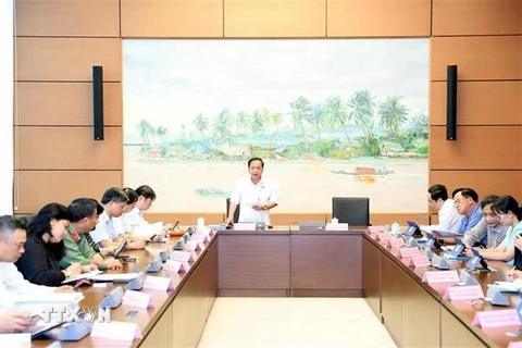 Đoàn Đại biểu Quốc hội các tỉnh Long An, Bình Thuận và thành phố Cần Thơ thảo luận ở tổ. (Ảnh: Trọng Đức/TTXVN)