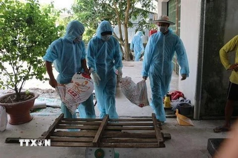 Lực lượng chức năng tiêu hủy số lợn bị dịch bệnh tại huyện Vĩnh Lợi. Ảnh: Huỳnh Sử/TTXVN)