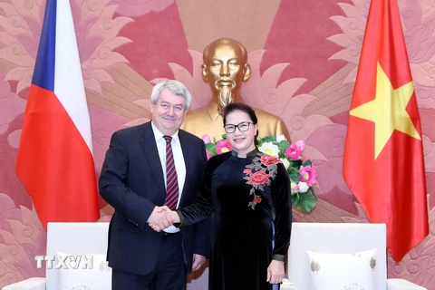 Chủ tịch Quốc hội Nguyễn Thị Kim Ngân tiếp Phó Chủ tịch Hạ viện Cộng hòa Séc Vojtech Filip. (Ảnh: Trọng Đức/TTXVN)