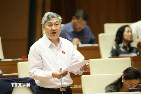 Đại biểu Quốc hội tỉnh Bắc Giang Trần Văn Lâm phát biểu ý kiến. (Ảnh: Doãn Tấn/TTXVN)