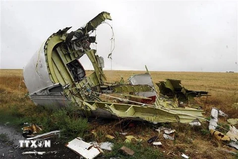 Xác máy bay MH17 của Hãng hàng không Malaysia Airlines bị bắn rơi gần làng Grabove, cách Donetsk, miền Đông Ukraine khoảng 80km. (Nguồn: AFP/TTXVN)