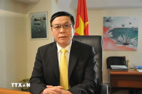 Đại sứ Vũ Anh Quang. (Ảnh: Kim Chung/TTXVN)