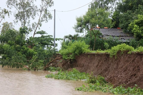 Nhà ở người dân dọc tuyến kênh Phú Tòng đứng trước nguy cơ sạt lở tuột xuống kênh. (Ảnh: Huỳnh Sử/TTXVN)