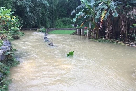 Đường vào xóm Pác Ái, xã Quảng Hưng bị ngập sâu gần nửa mét. (Nguồn: TTXVN phát)