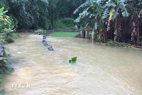 Mưa lũ gây ngập lụt tại xã Quảng Hưng, huyện Quảng Uyên. (Ảnh: TTXVN/phát)
