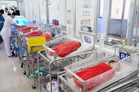 Chăm sóc trẻ sơ sinh non tháng tại Bệnh viện Nhi Đồng 2, Thành phố Hồ Chí Minh. (Ảnh: TTXVN)
