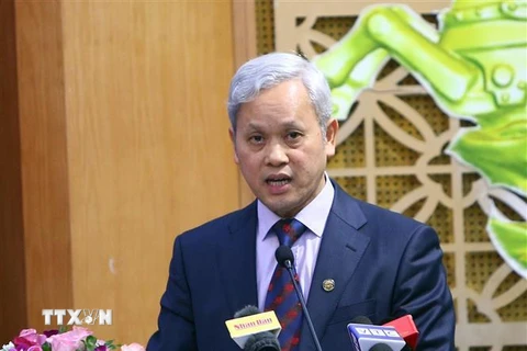 Tổng cục Trưởng Tổng cục Thống kê Nguyễn Bích Lâm. (Ảnh: Danh Lam/TTXVN)