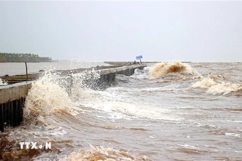 Biển động, sóng to vỗ mạnh vào kè hộ đê trên địa bàn xã Khánh Bình Tây, huyện Trần Văn Thời, Cà Mau. (Ảnh: Huỳnh Thế Anh/TTXVN)