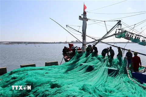 Ngư dân Quảng Trị được hỗ trợ bảo hiểm khi hành nghề khai thác hải sản xa bờ. (Ảnh: Nguyên Lý/TTXVN)