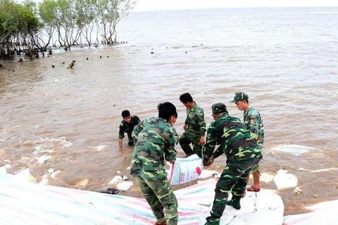 Các chiến sỹ sử dụng bao cát để gia cố chân đê biển Gò Công, tỉnh Tiền Giang năm 2018. (Ảnh: Nam Thái/TTXVN)