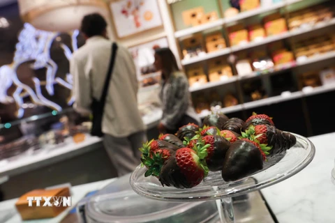 Các loại chocolate được bày bán tại cửa hàng ở Brussels, Bỉ. (Ảnh: THX/TTXVN)