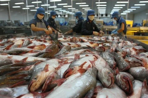 Thủy sản là một trong các mặt hàng xuất khẩu tăng trưởng mạnh nhất của Việt Nam trong những năm đổi mới. (Ảnh: Huy Hùng/TTXVN)