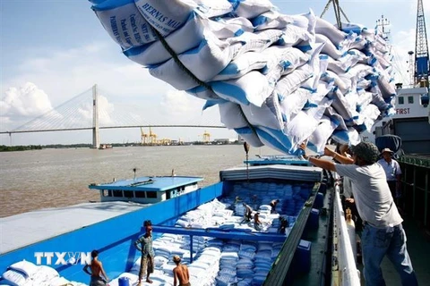 Việt Nam trở thành nước xuất khẩu gạo với khối lượng lớn, đứng thứ hai thế giới, góp phần vào an ninh lương thực quốc tế. (Ảnh: Đình Huệ/TTXVN)